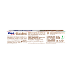 Signal Clove and Ginger Toothpaste 200g