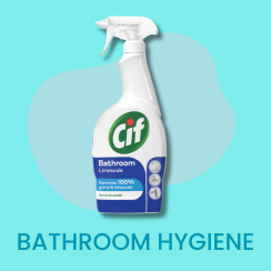 Bathroom Hygiene