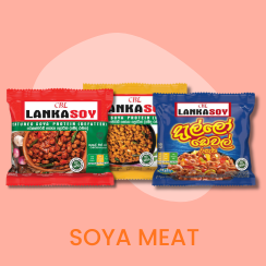 Soya Meat